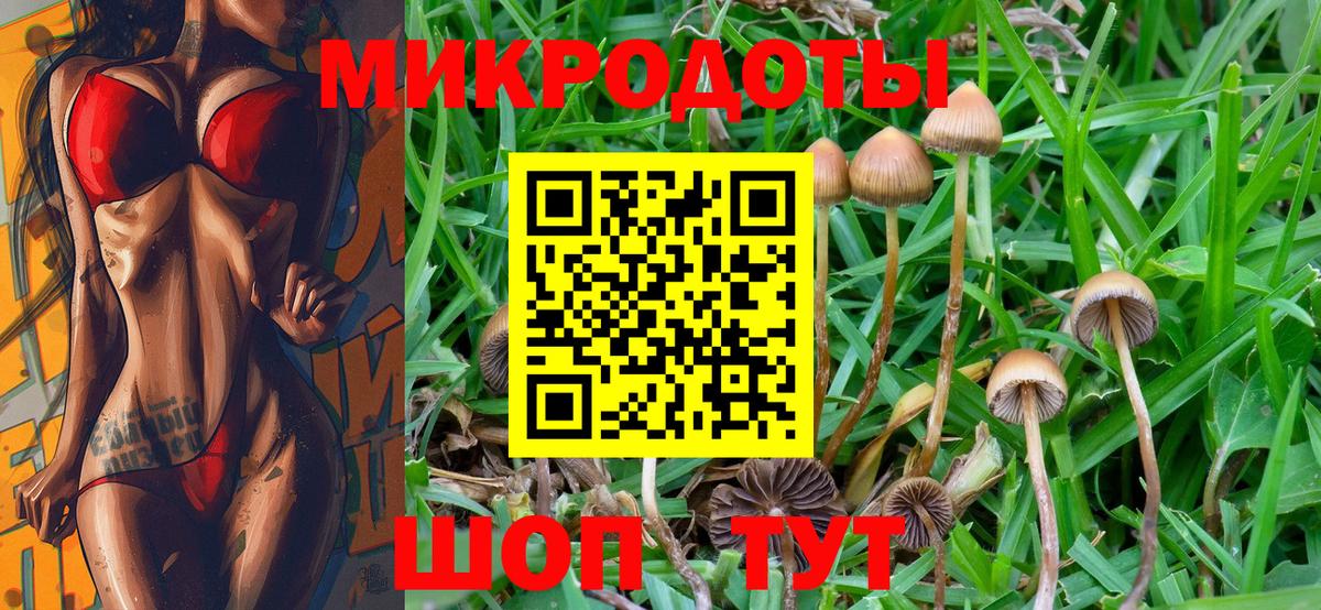 Галлюциногенные грибы GOLDEN TEACHER Моздок